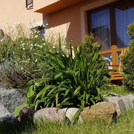 Bed & Breakfast Pensjonat Elzbieta