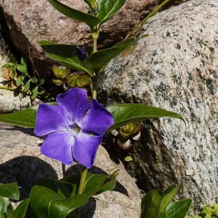 Pensjonat Elzbieta Bed & Breakfast Leba