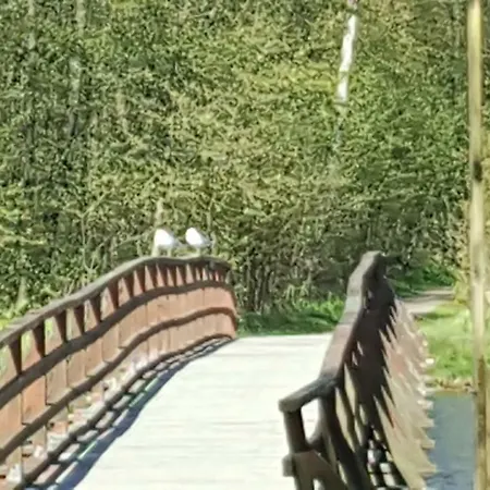 Bed & Breakfast Pensjonat Elzbieta