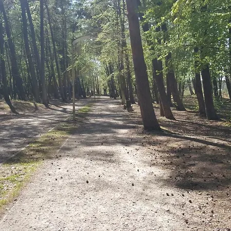 Pensjonat Elzbieta Bed & Breakfast