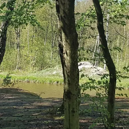 Pensjonat Elzbieta Bed & Breakfast