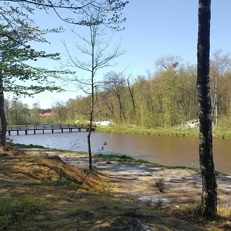 Pensjonat Elzbieta Bed & Breakfast