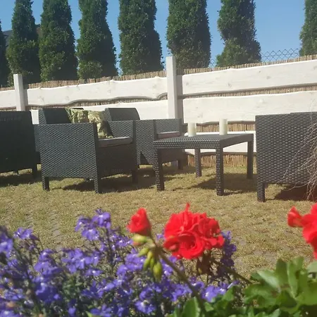 Bed & Breakfast Pensjonat Elzbieta *