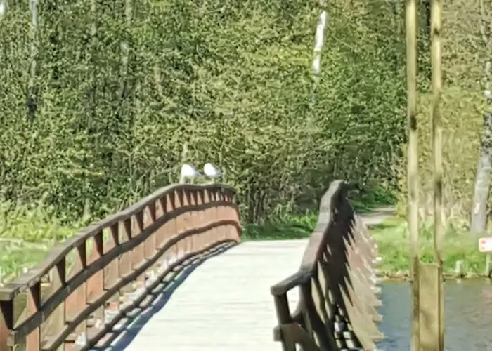 Nocleg ze śniadaniem Elzbieta